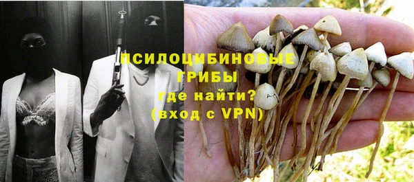 хмурый Волосово
