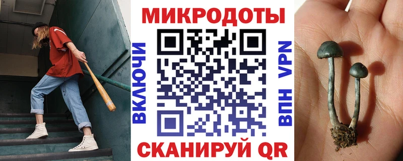 Купить закладки  Черняховск  Псилоцибиновые грибы Magic Shrooms 